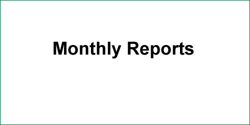Montly Reports widget