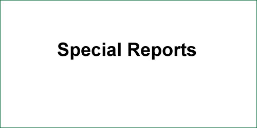 Special Reports widget