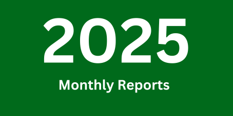 Monthly report 2025